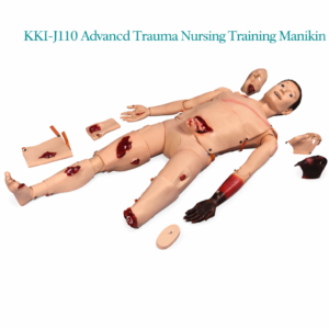 Standard Patient for External Fixation Training Simulation in First Aid of Limb Fracture