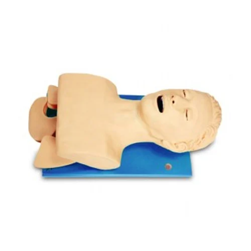 Electric Trachea Intubation Model