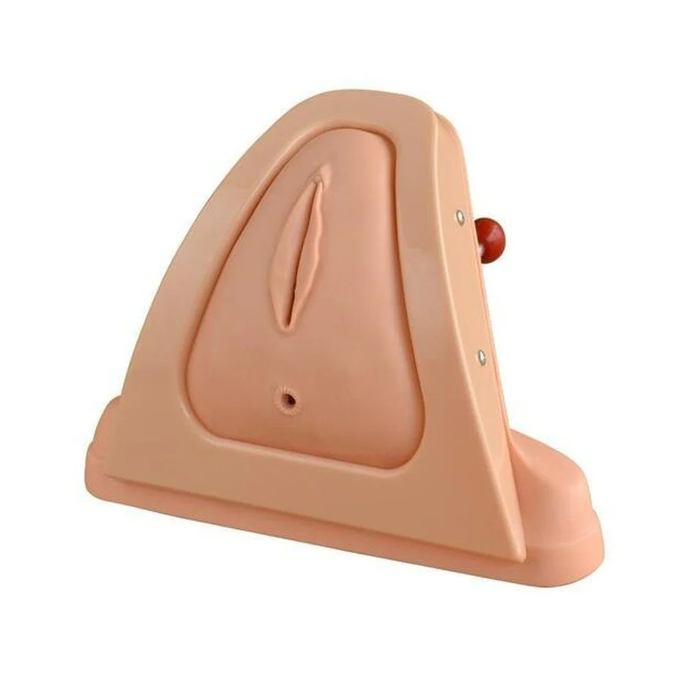 Perineum Cutting And Suturing Training Simulator